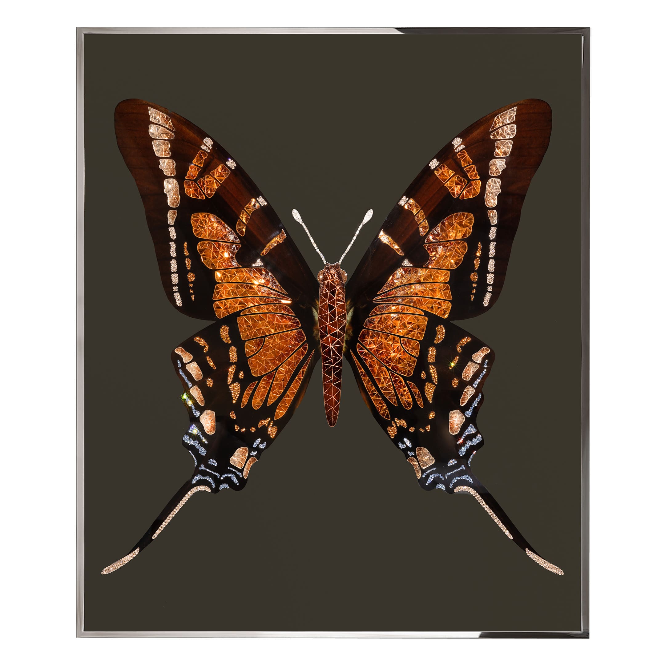 Картина Visionnaire By Ipe Cavalli BROWN BUTTERFLY | interior market Картина Visionnaire By Ipe Cavalli BROWN BUTTERFLY | interior market