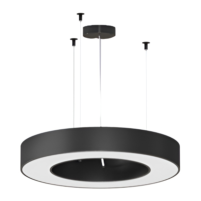 Потолочный светильник  Panzeri Silver Ring | interior market