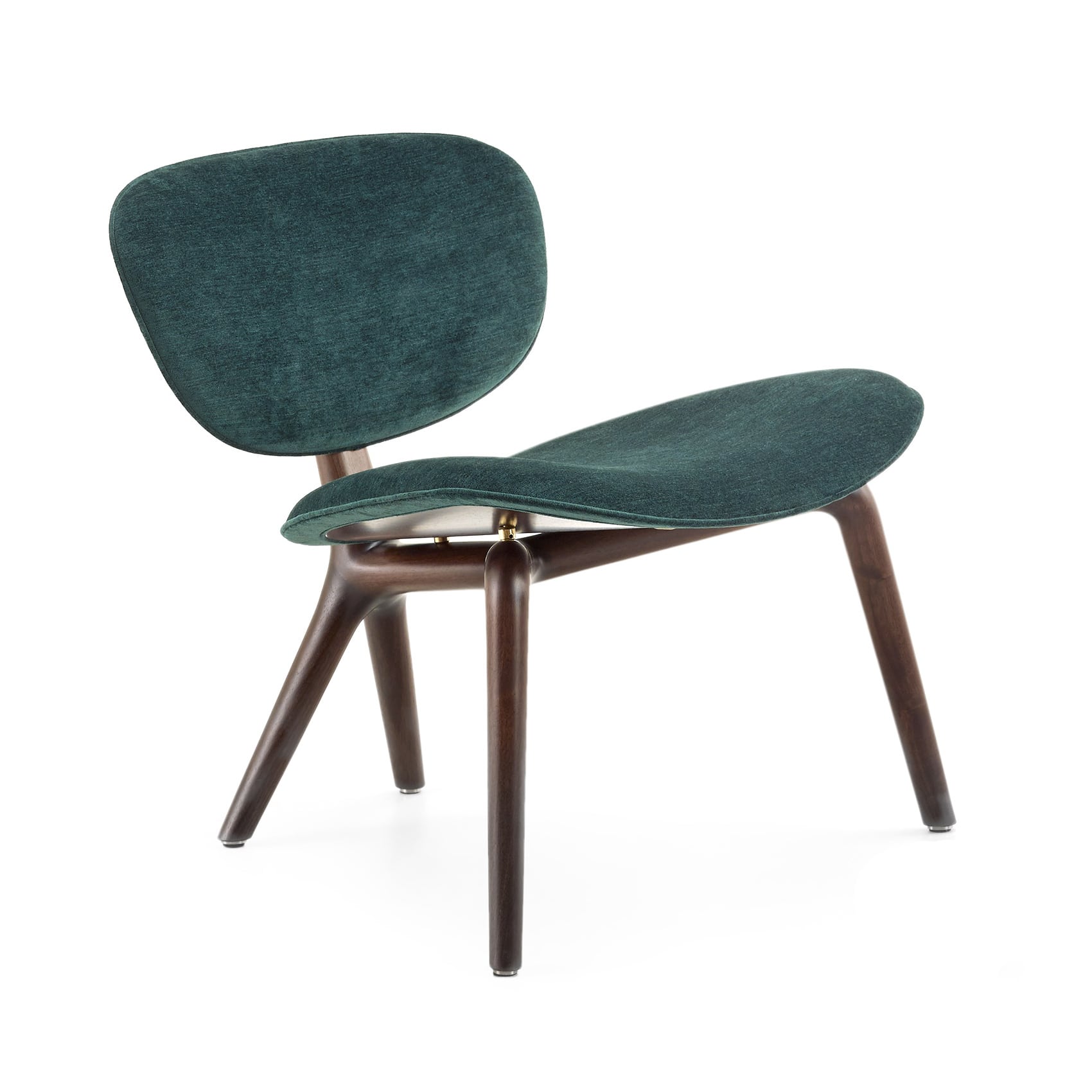 Кресло Ceccotti Rondine | interior market