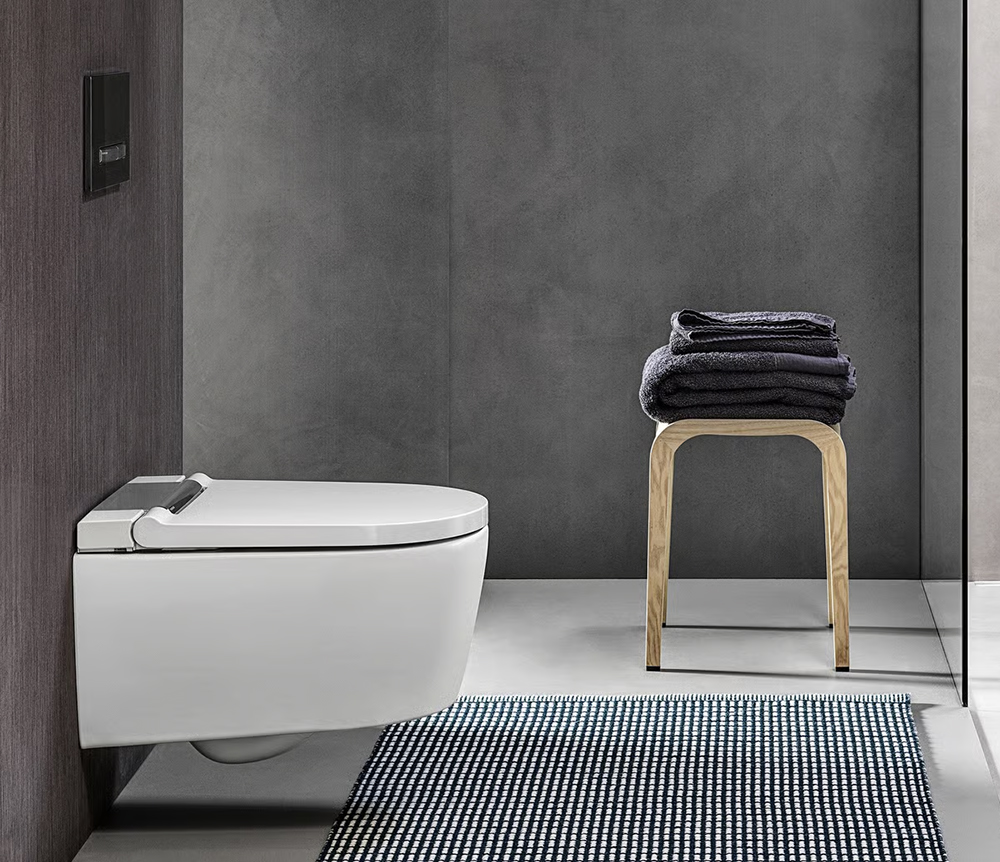 Умный унитаз — вершина эволюции