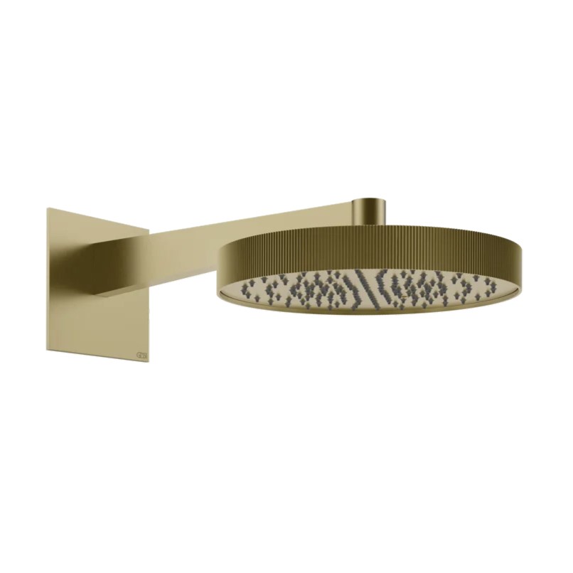 Верхний душ Gessi RIGATO | interior market