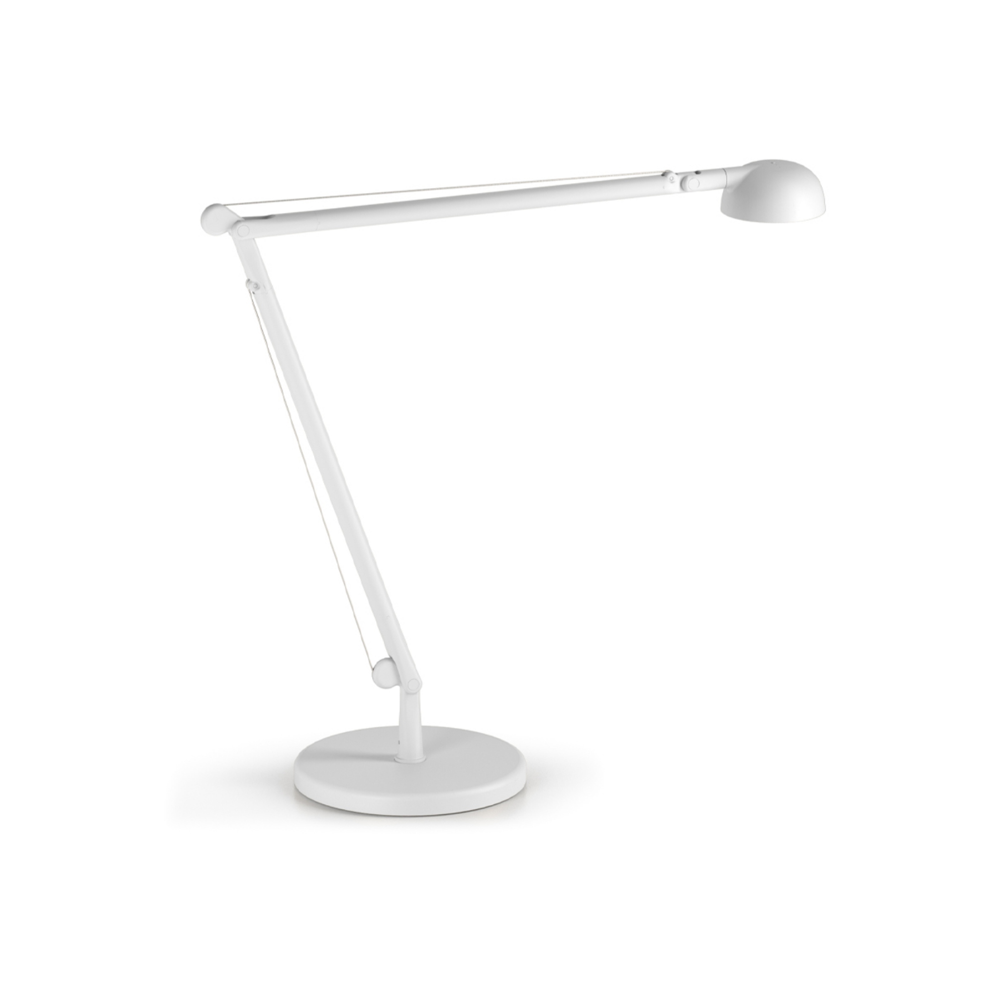 Настольная лампа Panzeri Opuntia | interior market