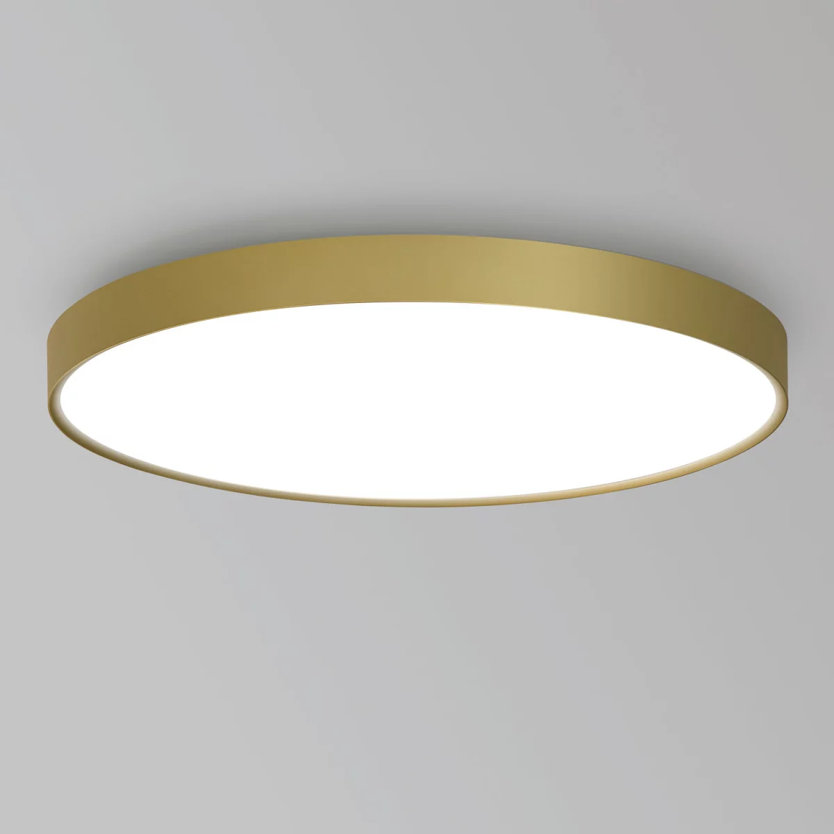 Технический свет Delta Light MULTINOVA 55 | interior market