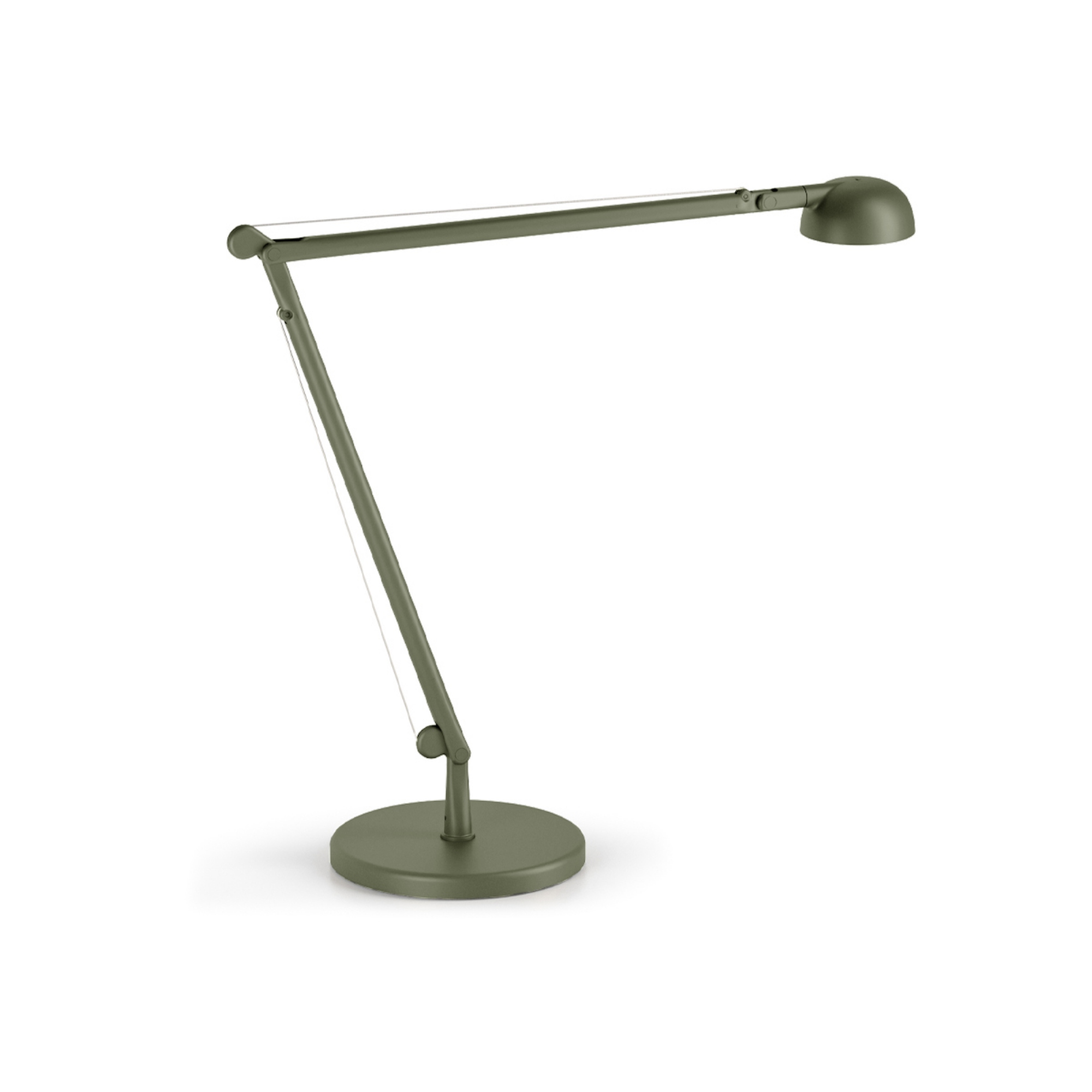 Настольная лампа Panzeri Opuntia | interior market