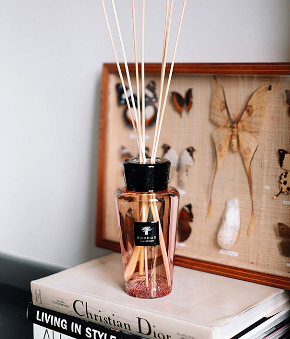 Диффузор Baobab ALL SEASONS SERENGETI PLAINS 500 мл - фото-2 | interior market