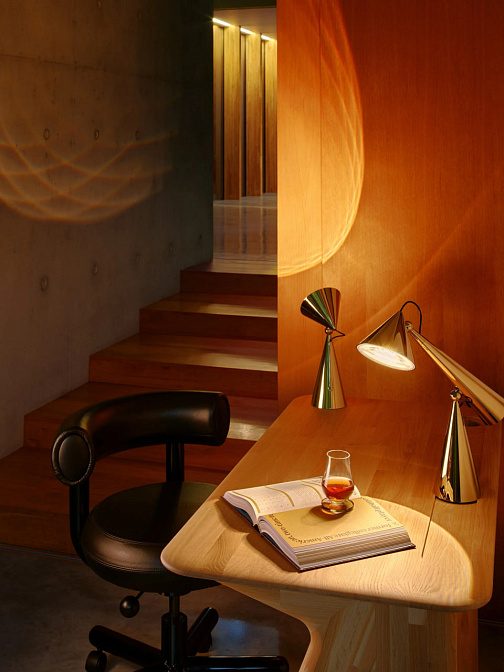 Настольная лампа Tom Dixon Pose Task Light - фото-2 | interior market