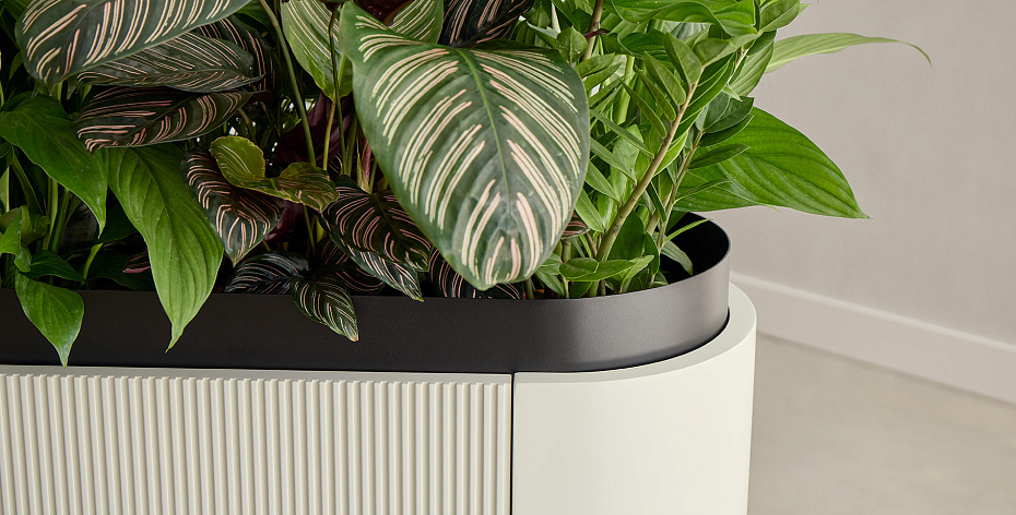 Комод PUNT Dune - фото-7 | interior market