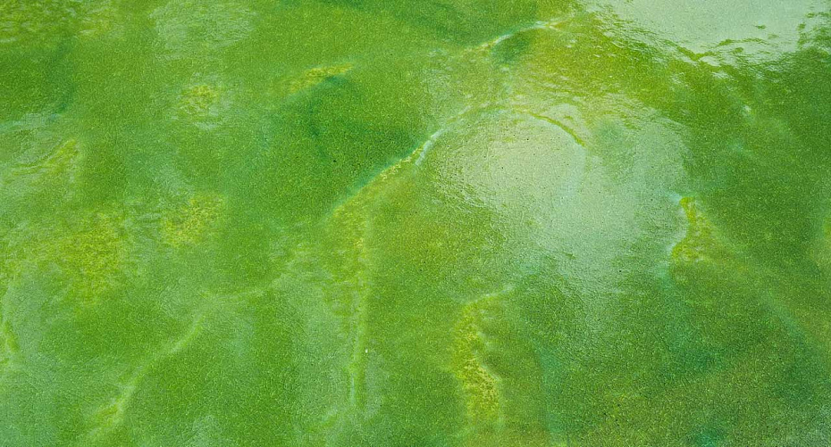 Стол для улицы Paola lenti Nesso - фото-3 | interior market