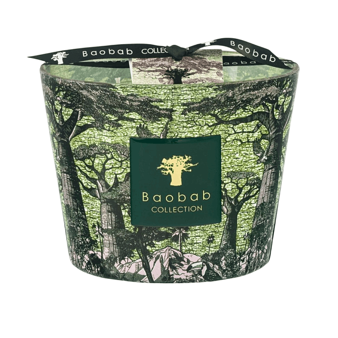 Аромасвеча Baobab SACRED TREES MAX 10 TOUBA 500 г - фото-1 | interior market