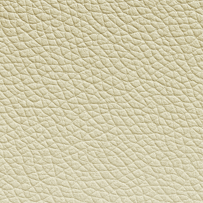 Кожа Cattelan Italia - фото-1 | interior market