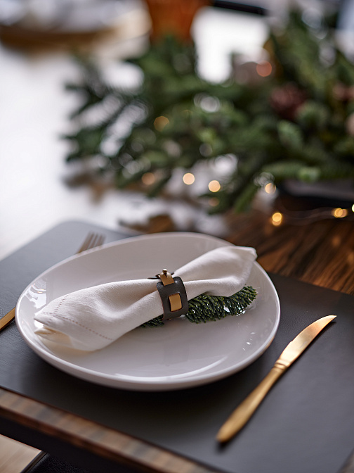 Кольцо для столовыx салфеток ADJ  - фото-8 | interior market