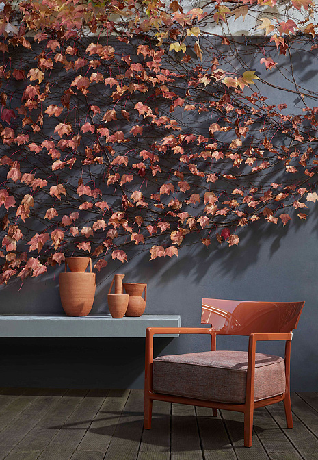 Кресло для улицы Kartell Cara - фото-2 | interior market