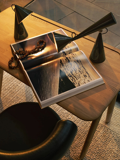 Настольная лампа Tom Dixon Pose Task Light - фото-2 | interior market
