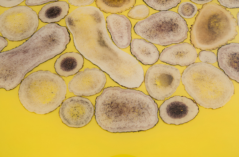 Обеденный стол JNL Thetys - фото-3 | interior market