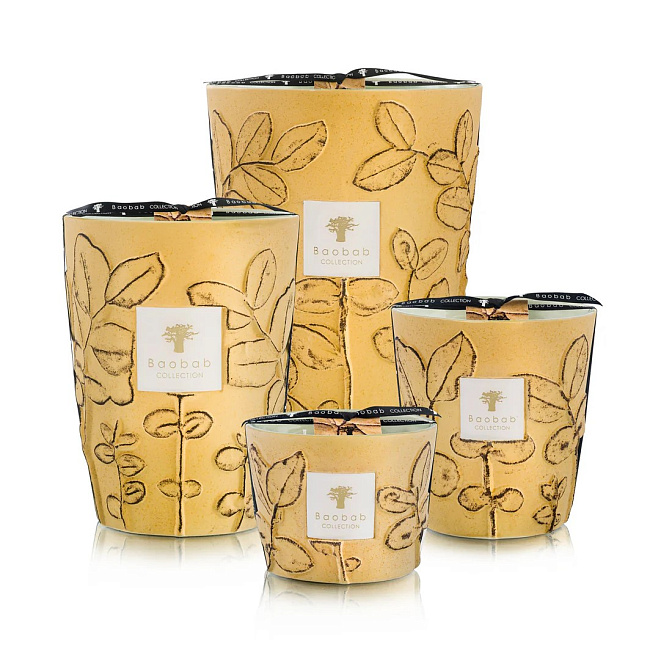 Свеча BAOBAB GARRIGUE FOLIA Max 10 500г - фото-2 | interior market