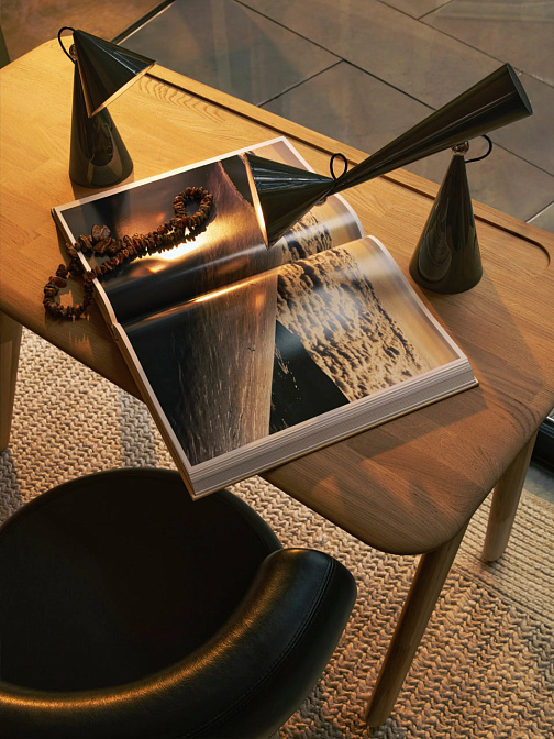 Настольная лампа Tom Dixon Pose Portable - фото-5 | interior market