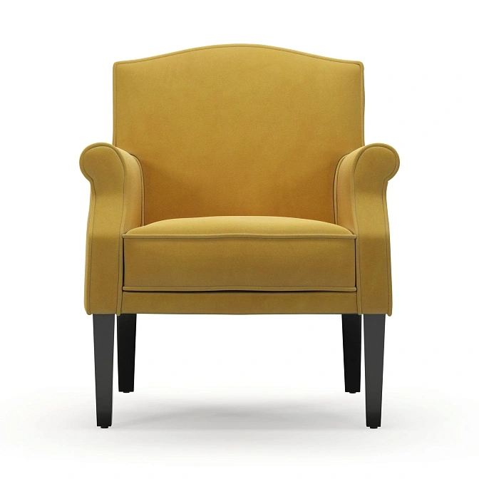 Кресло Mis En Demeure CHARLES - фото-2 | interior market
