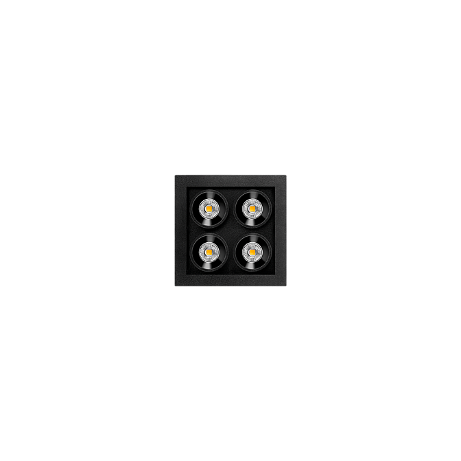 Встраиваемый светильник  Arkos Light BLACK FOSTER MICRO RECESSED 2X2 2700K N - фото-1 | interior market