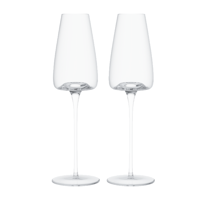 Бокалы для игристого вина - сет-2 штуки OMOIKIRI Omoikane-SW - фото-1 | interior market
