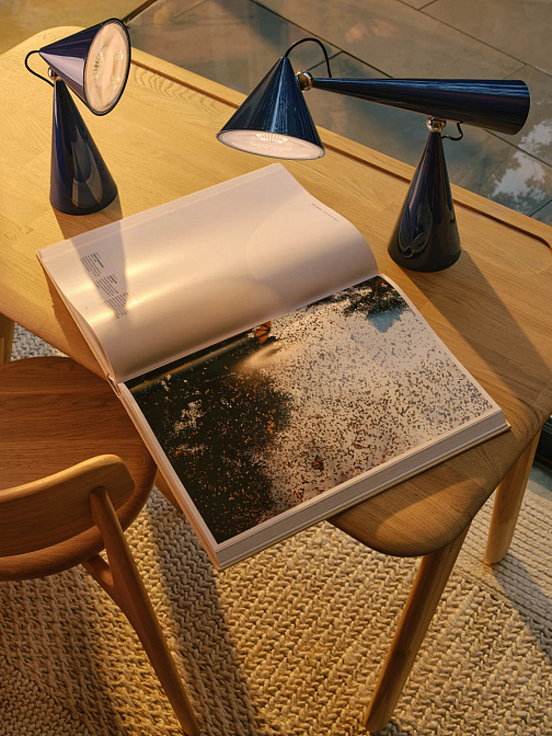 Настольная лампа Tom Dixon Pose Task Light - фото-2 | interior market