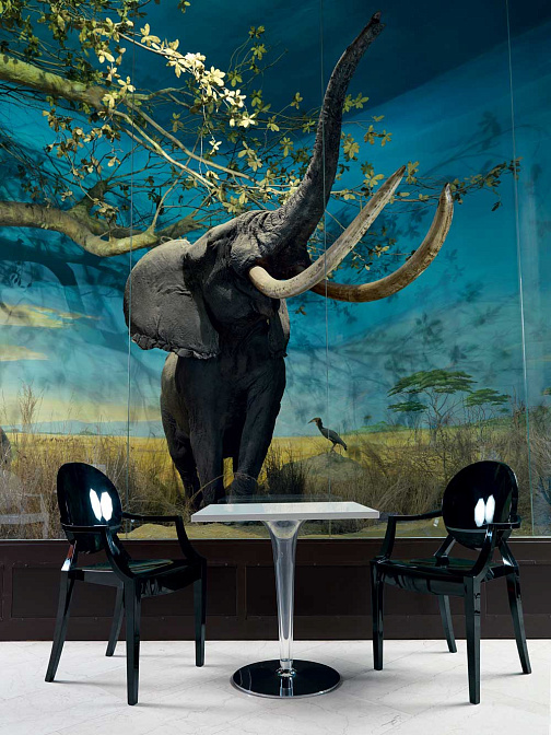 Стол для улицы Kartell Top top - фото-2 | interior market Стол для улицы Kartell Top top - фото-2 | interior market