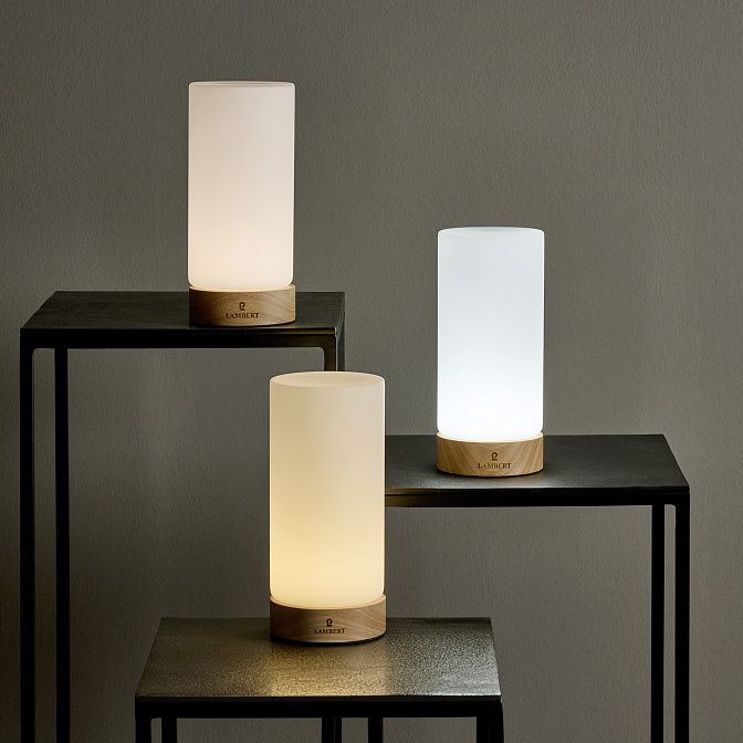 Настольный светильник для улицы LAMBERT Magicee - фото-5 | interior market