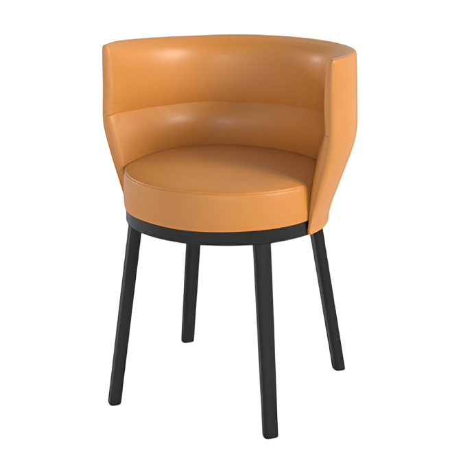 Обеденный стул PUNT Sena - фото-1 | interior market