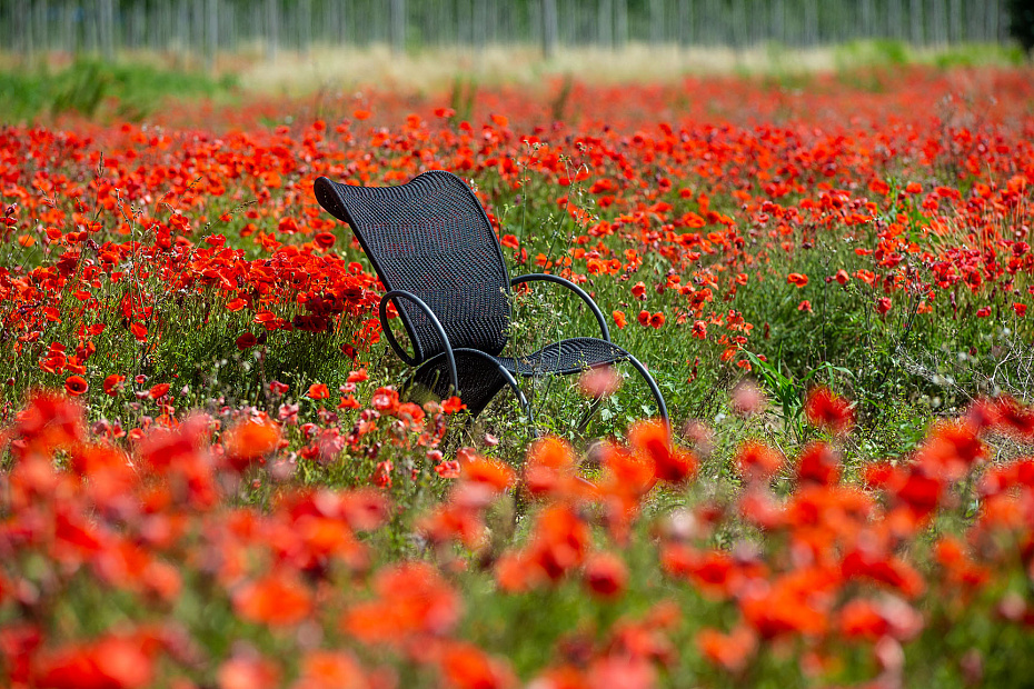 Кресло для улицы Moroso Modou - фото-3 | interior market