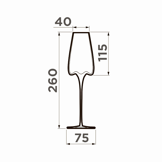 Бокалы для игристого вина - сет-2 штуки OMOIKIRI Omoikane-SW - фото-2 | interior market