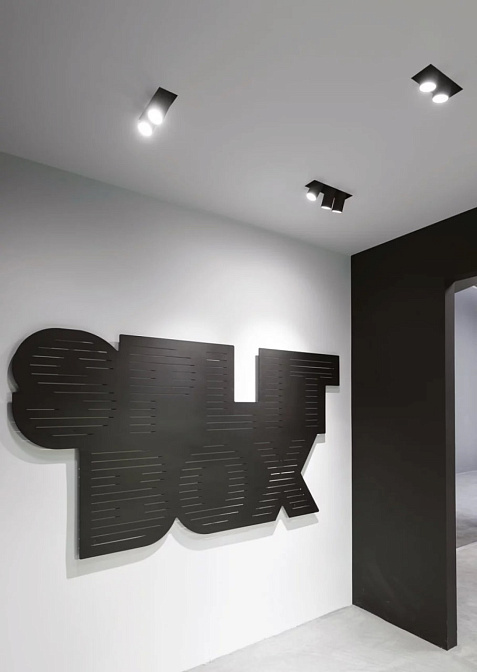 Технический свет Delta Light SPLITBOX 3 SPY - фото-3 | interior market