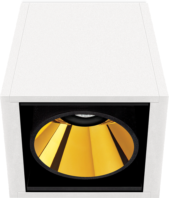 Потолочный светильник  Arkos Light BLACK FOSTER SURF 1 FLOOD 3000K WTMG - фото-1 | interior market