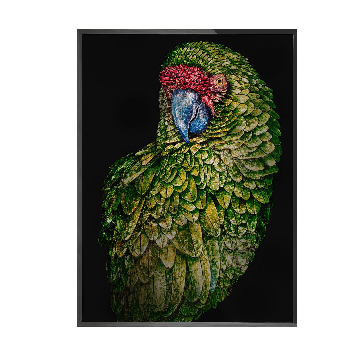 Картина Visionnaire By Ipe Cavalli PARROT FRED | interior market Картина Visionnaire By Ipe Cavalli PARROT FRED | interior market