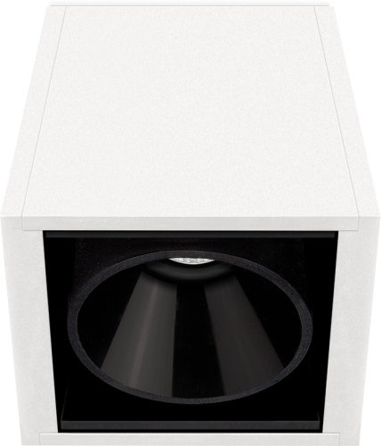 Потолочный светильник Arkos Light BLACK FOSTER SURF 1 FLOOD 3000K WT | interior market Потолочный светильник Arkos Light BLACK FOSTER SURF 1 FLOOD 3000K WT | interior market